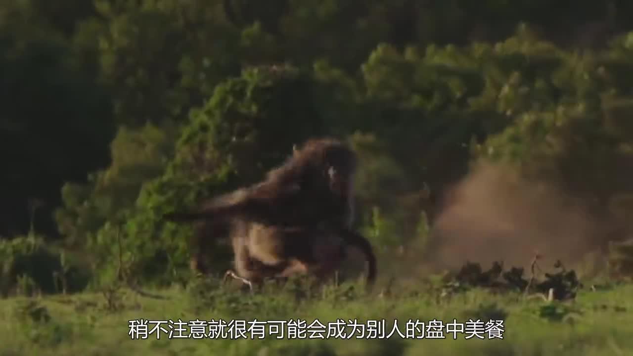 马赛虎晋级困难重重,道路坎坷的简单介绍 马赛虎晋级困难重重,道路坎坷的简单介绍