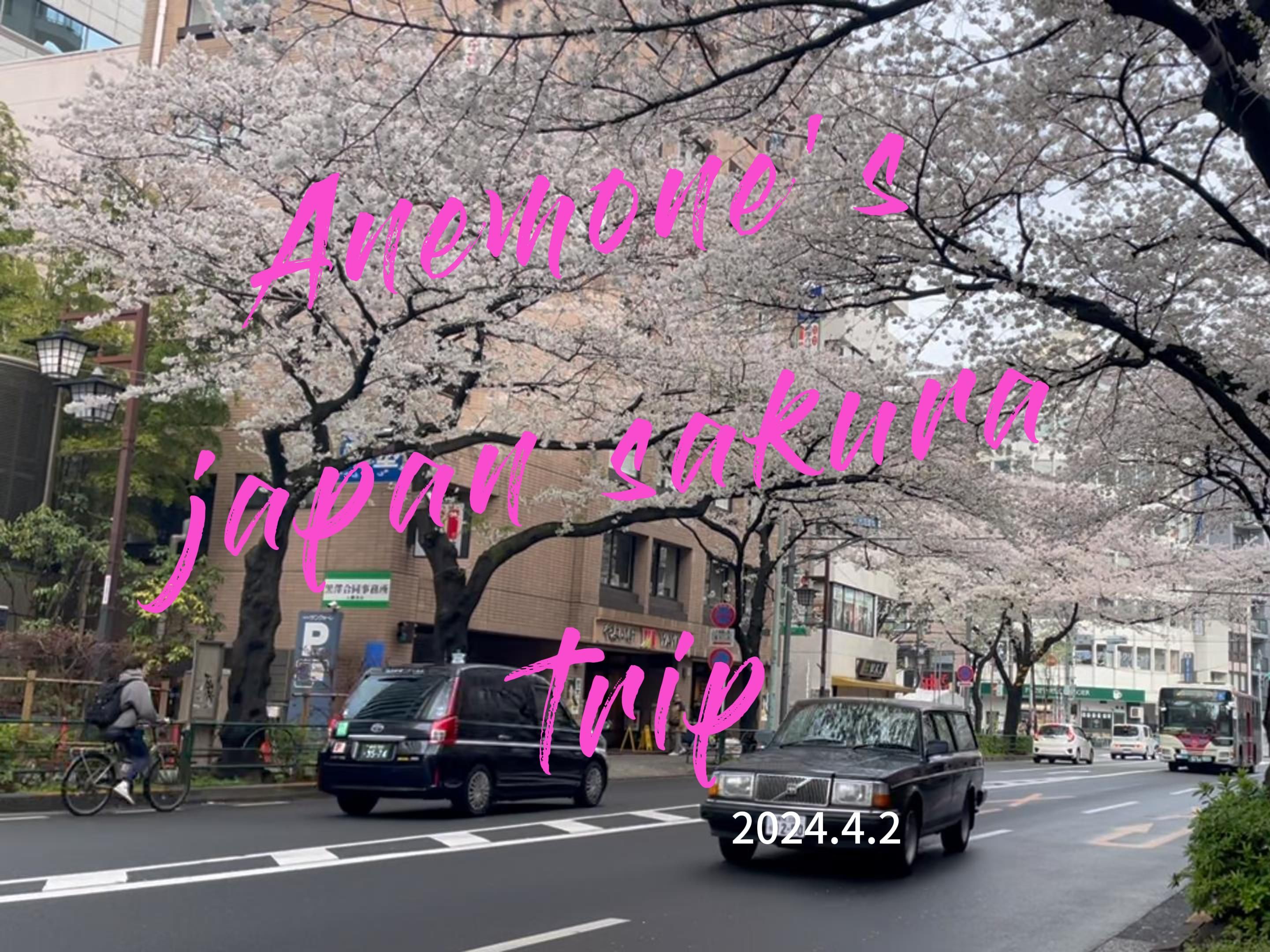 大阪樱花准备全面开花,迎接对手挑战 大阪樱花准备全面开花,迎接对手挑战