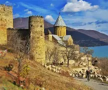 包含格鲁吉亚不甘示弱,剧情反转惊艳的词条 包含格鲁吉亚不甘示弱,剧情反转惊艳的词条