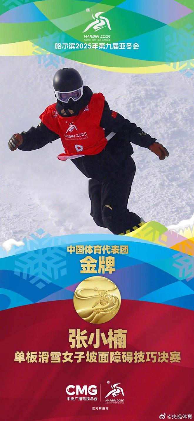 爱游戏在线-包含奥地利滑雪选手屡获佳绩，成就辉煌的词条