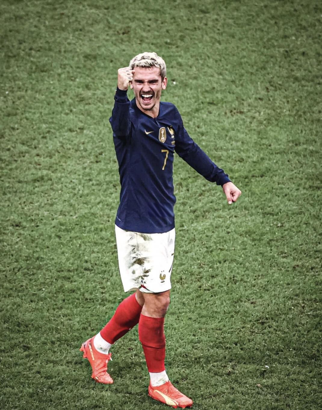 法国队夺得冠军,实力强劲! 法国队夺得冠军,实力强劲!